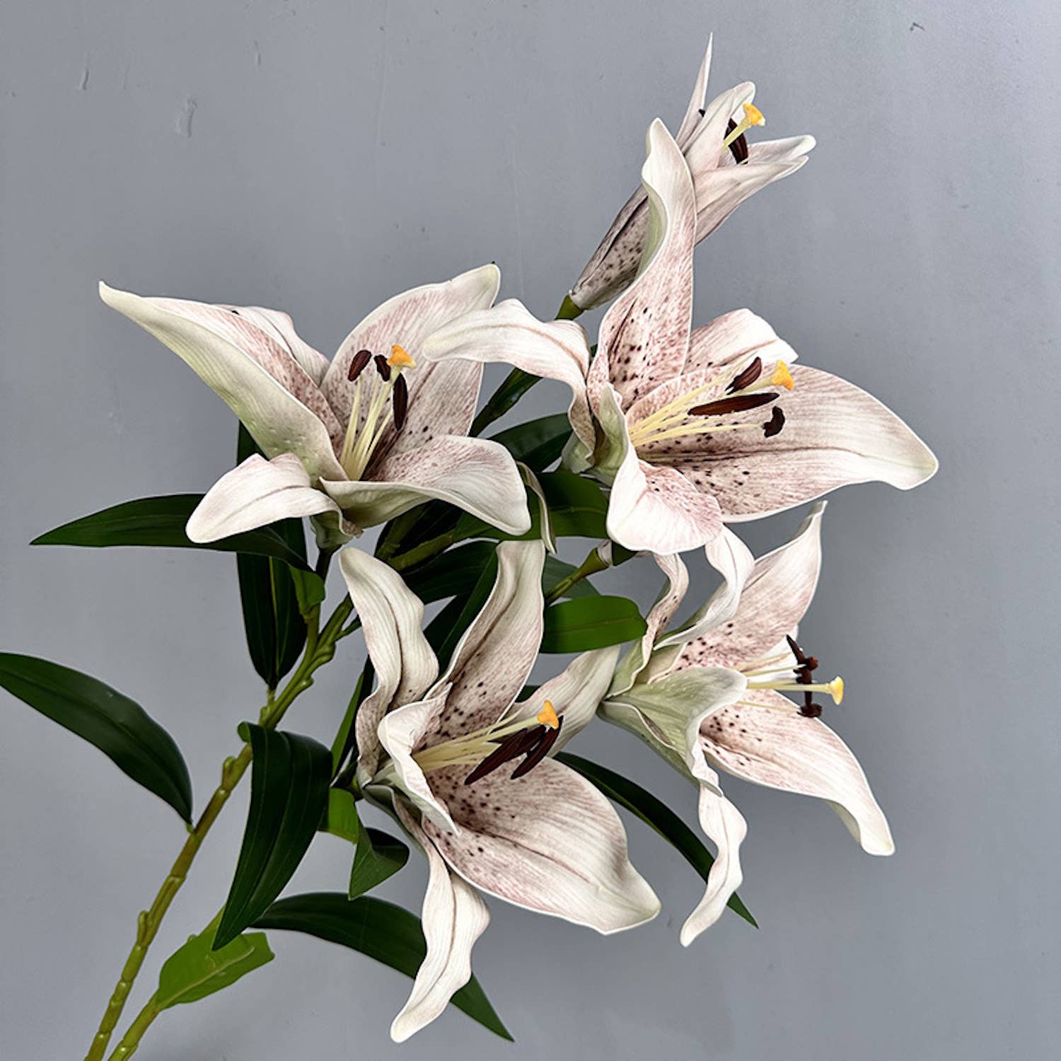 Blue Real Touch Premium Quality Elegant Vintage White Bloom Lily - The Mustard Seed Collection, The Seed