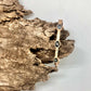 Bracelet 6 Glass Oval Midnight Matte Gold w/safety ClaspHook