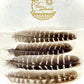Feathers for Smudging