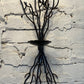 Candle Holder Wall Sconce - The Mustard Seed Collection, The Seed