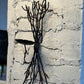 Candle Holder Wall Sconce - The Mustard Seed Collection, The Seed