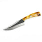 Carbon Skinning/Hunting Knife