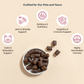 Organic CBD Treats for Dogs