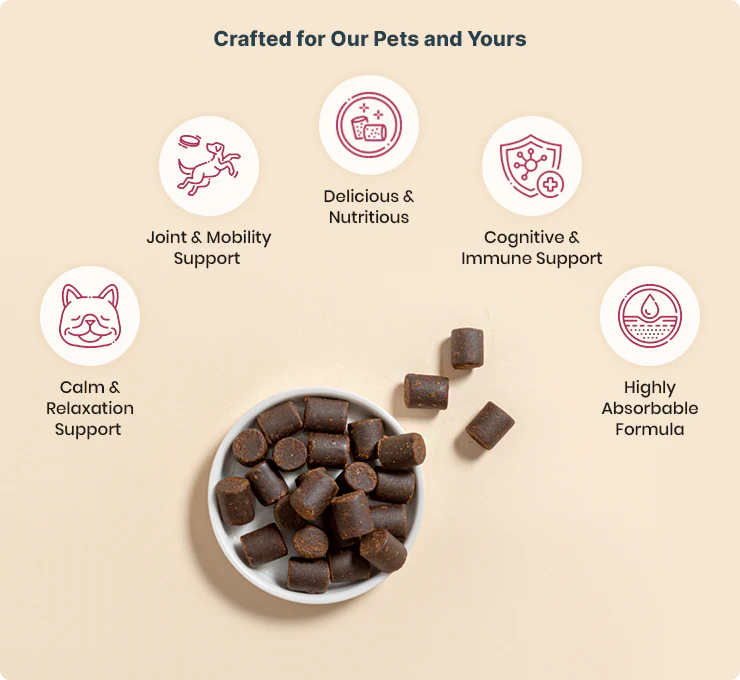 Organic CBD Treats for Dogs