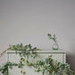 Chalk Paint 500ml Capability Green - The Mustard Seed Collection, The Seed