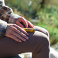 Classic Beeswax Lip Balm - The Mustard Seed Collection, The Seed