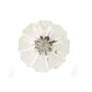 Clear Cut Tomato Knob - The Mustard Seed Collection, The Seed