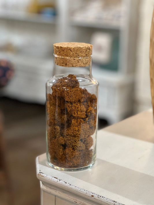 Clear Glass Apothecary Jar with Large Tapered Cork Stopper & Brown Moss Filler - The Mustard Seed Collection, The Seed