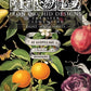 Clementine IOD Transfer 8X12 Pad - The Mustard Seed Collection, The Seed