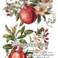 Clementine IOD Transfer 8X12 Pad - The Mustard Seed Collection, The Seed