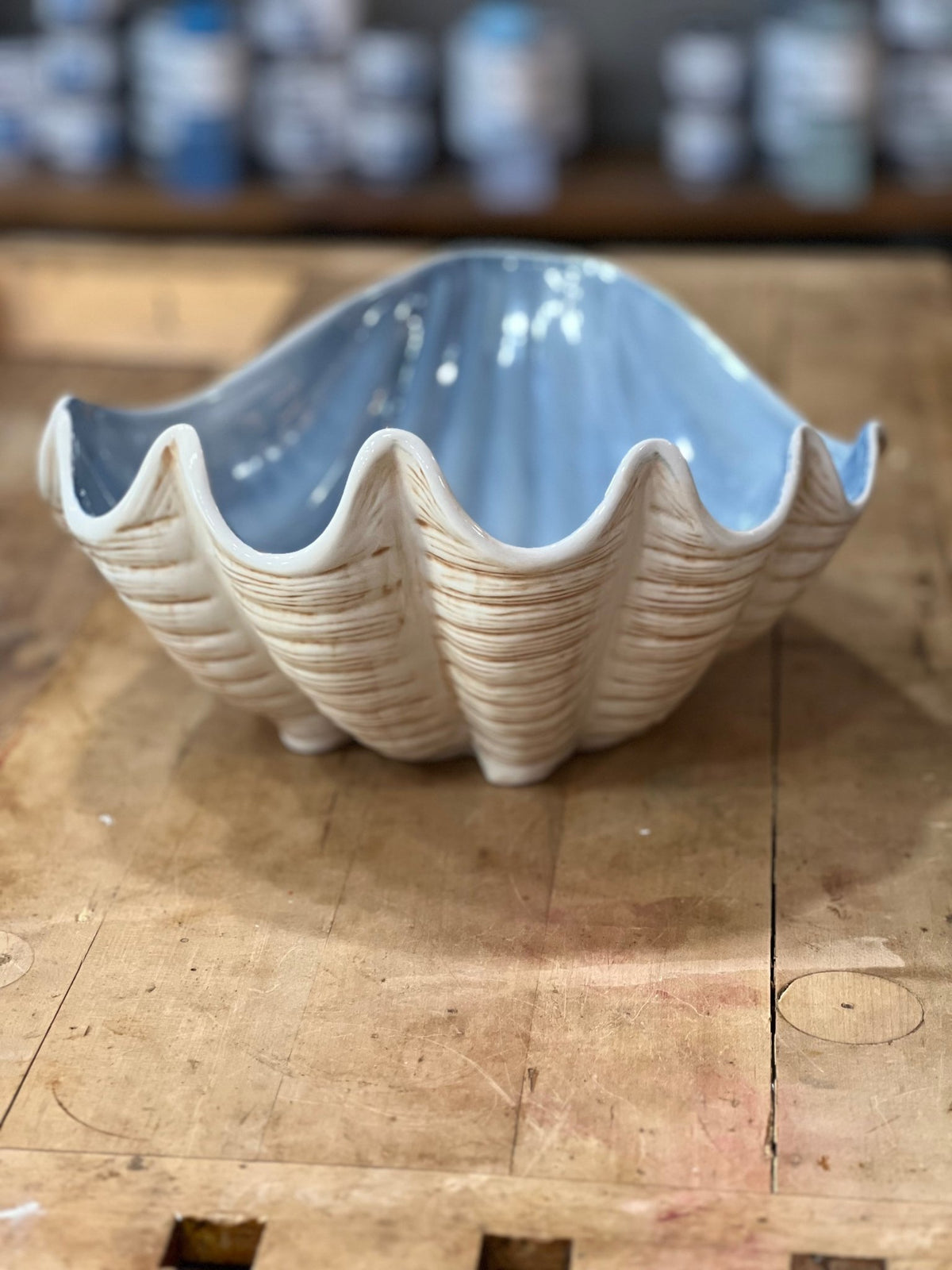 Coastal Ceramic Bowl with Clam Shell Decor 