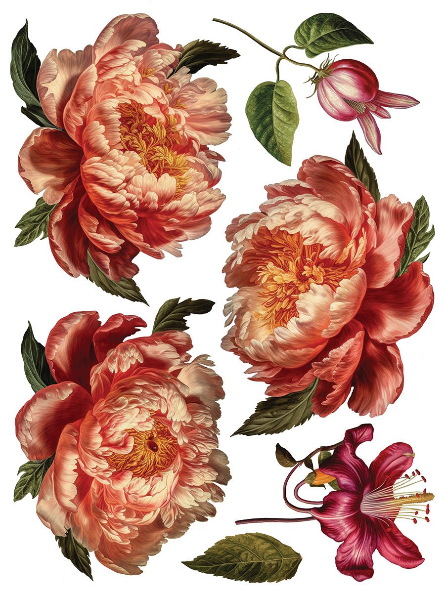 Collage de Fleurs IOD Transfer 12x16 Pad