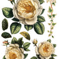 Collage de Fleurs IOD Transfer 12x16 Pad - The Mustard Seed Collection, The Seed