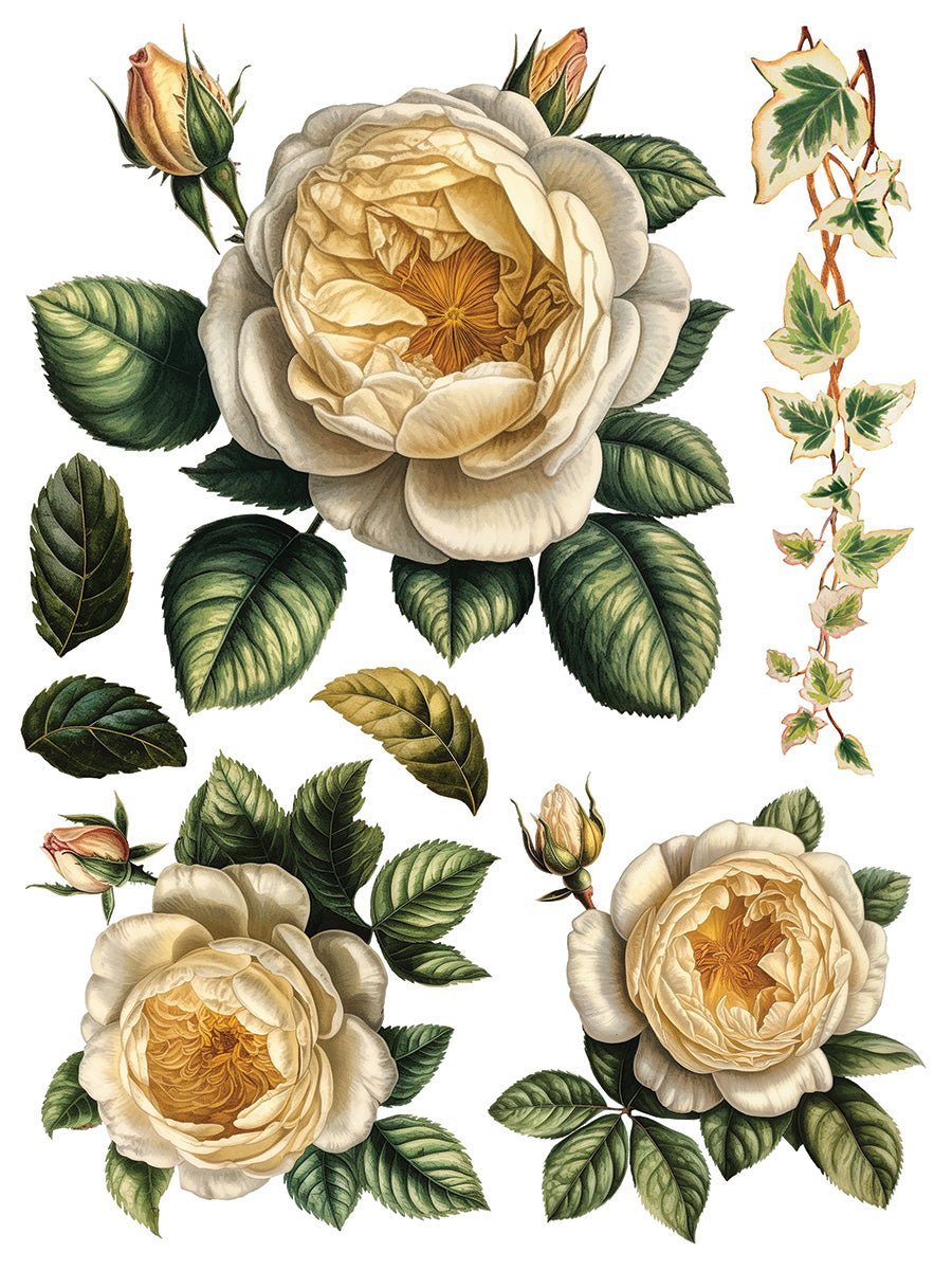 Collage de Fleurs IOD Transfer 12x16 Pad - The Mustard Seed Collection, The Seed