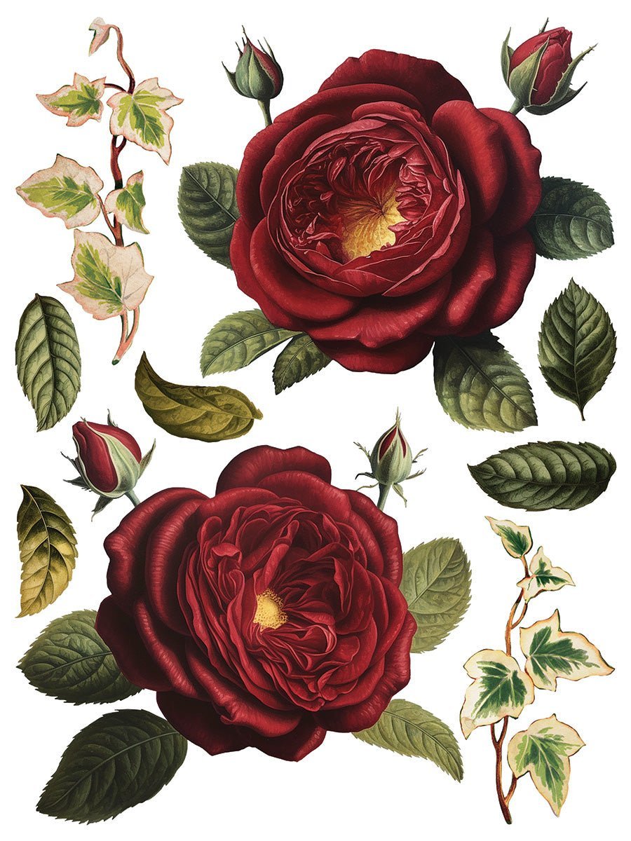 Collage de Fleurs IOD Transfer 12x16 Pad - The Mustard Seed Collection, The Seed