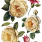 Collage de Fleurs IOD Transfer 12x16 Pad - The Mustard Seed Collection, The Seed