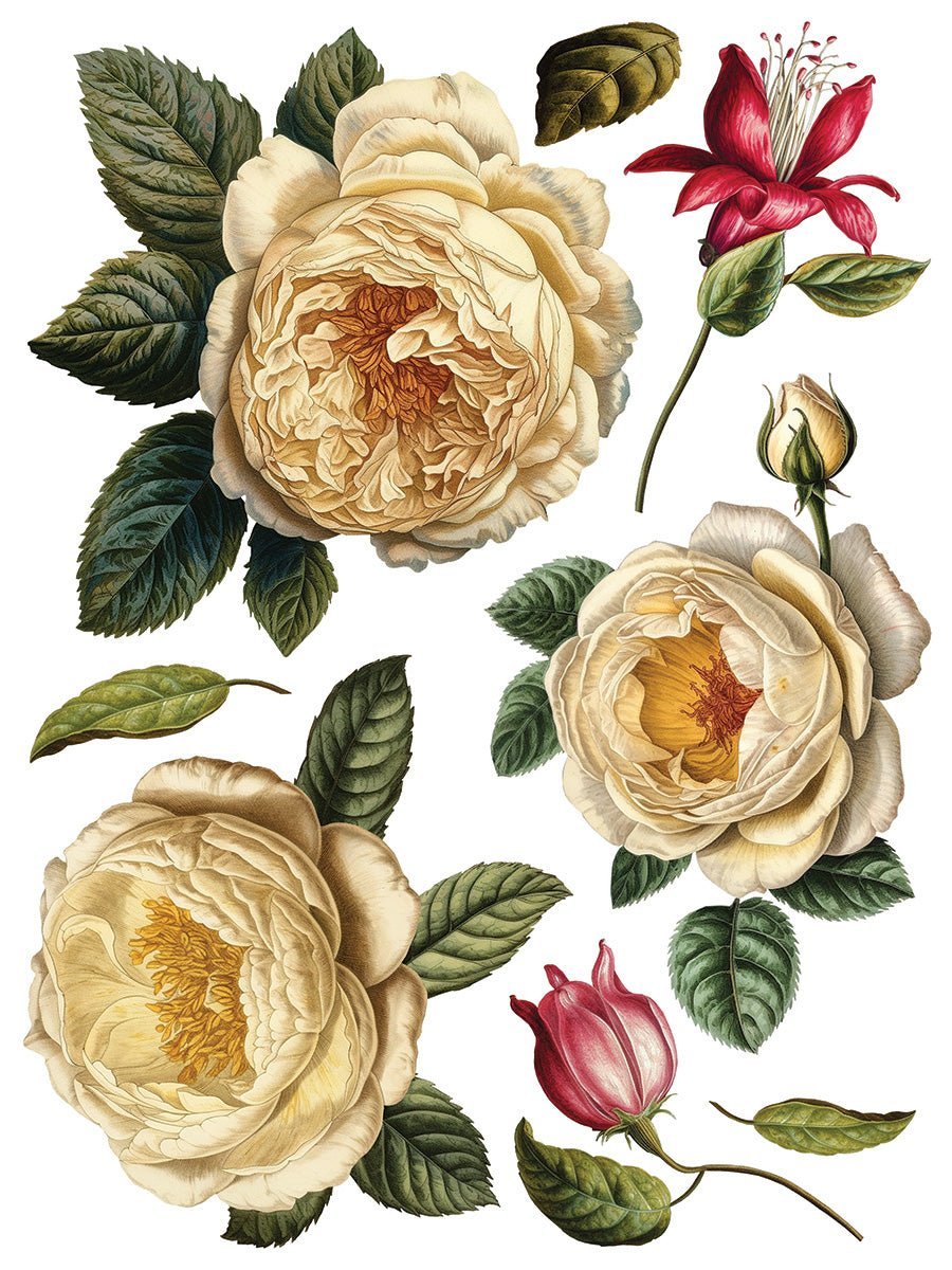 Collage de Fleurs IOD Transfer 12x16 Pad - The Mustard Seed Collection, The Seed