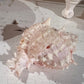 Conch Shell 