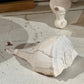 Conch Shell 