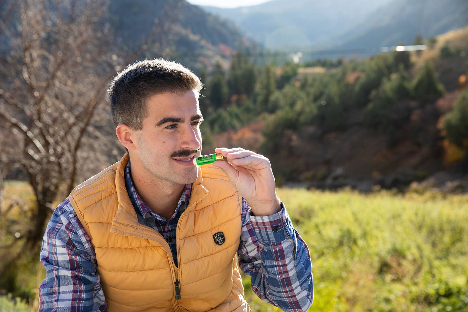 Cool Mint Beeswax Lip Balm - The Mustard Seed Collection, The Seed