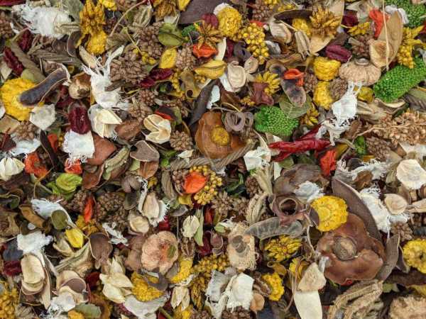 Loose Potpourri By the Cup