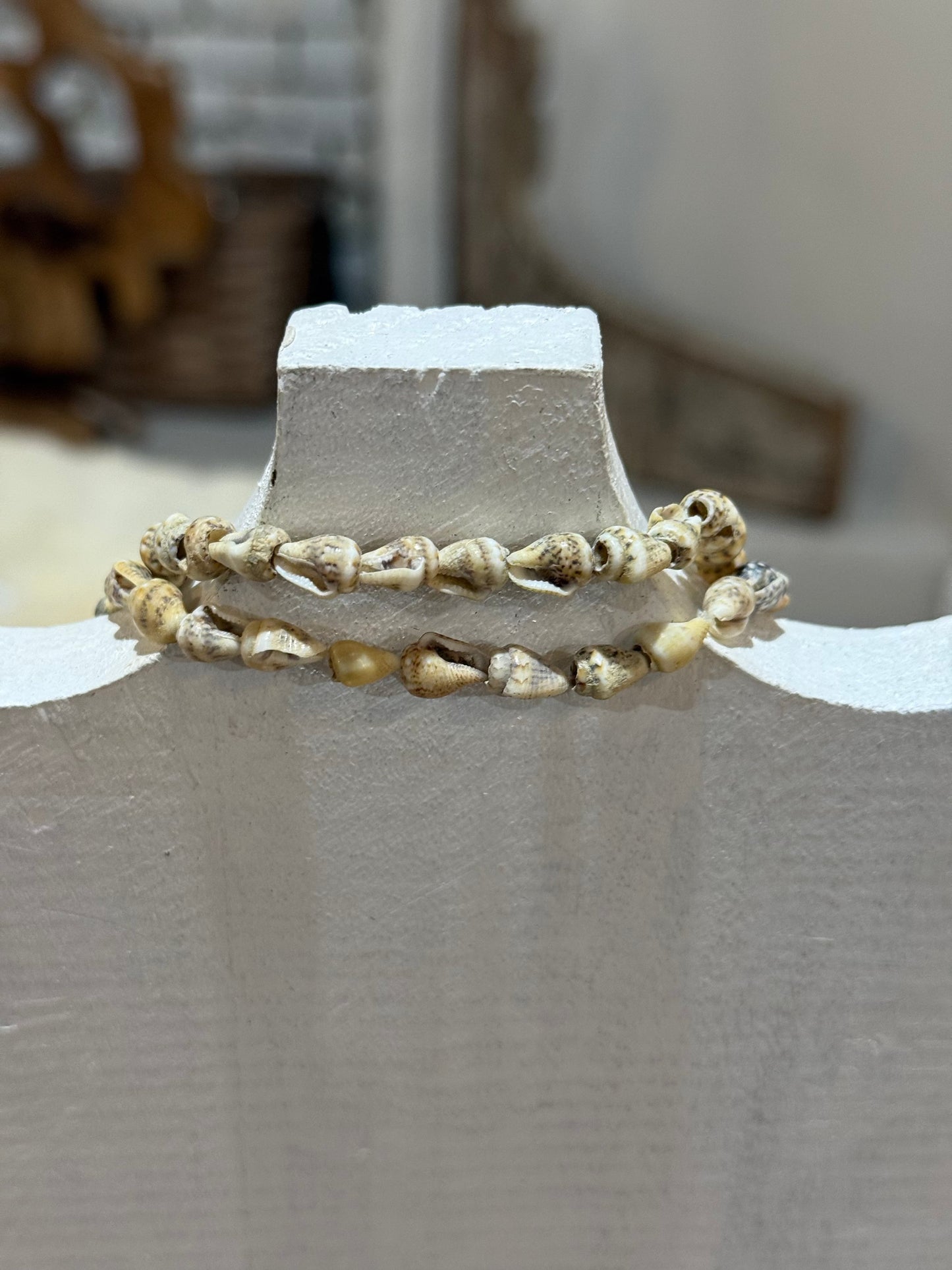 Cowpie Shell Necklace