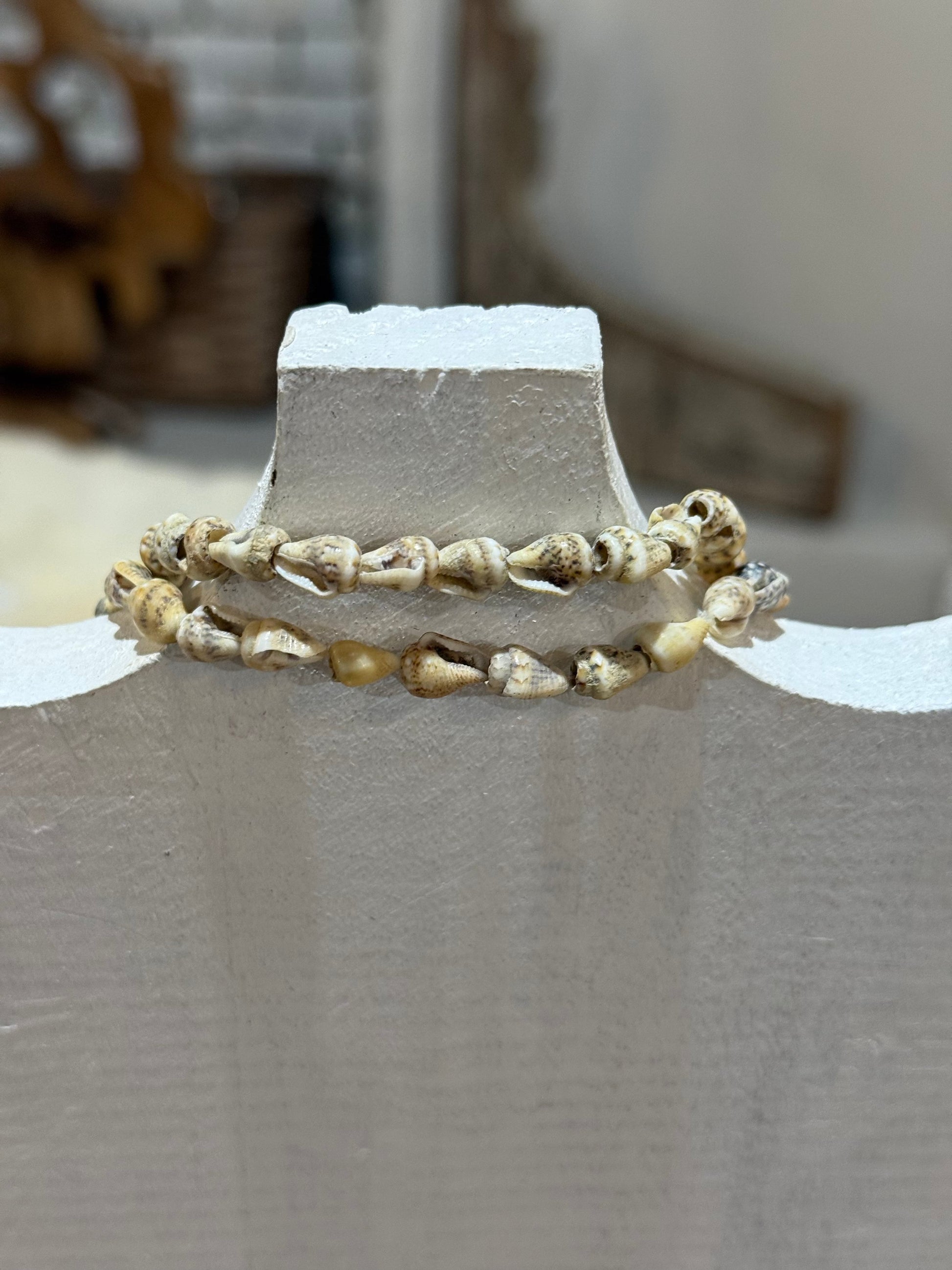 Cowpie Shell Necklace