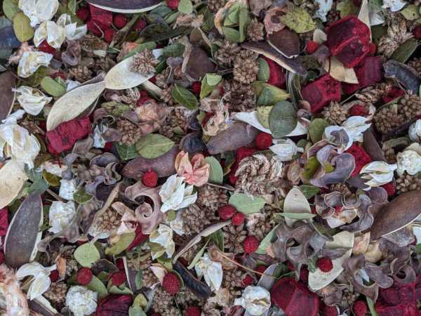 Loose Potpourri By the Cup