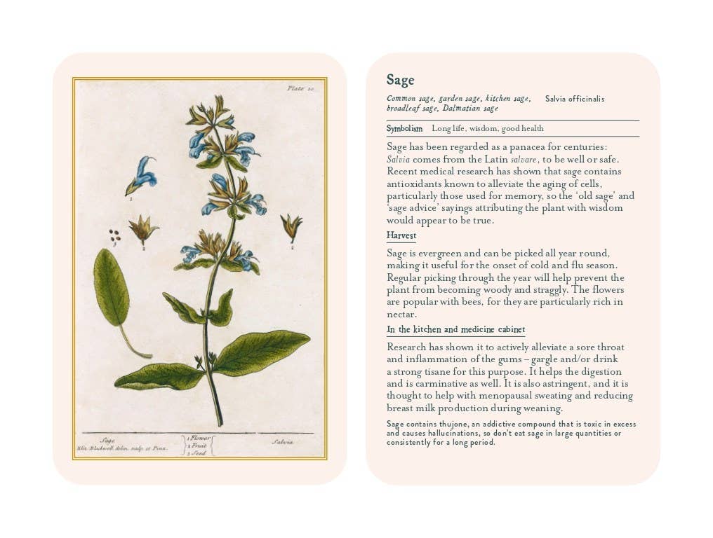 Healing Plants
