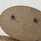 Dainty Heart Earrings - The Mustard Seed Collection, The Seed