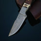 DAMASCUS STEEL FIXED BLADE KNIFE WITH WALNUT & STAG HORN HANDLE
