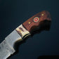 DAMASCUS STEEL FIXED BLADE KNIFE WITH WALNUT & STAG HORN HANDLE