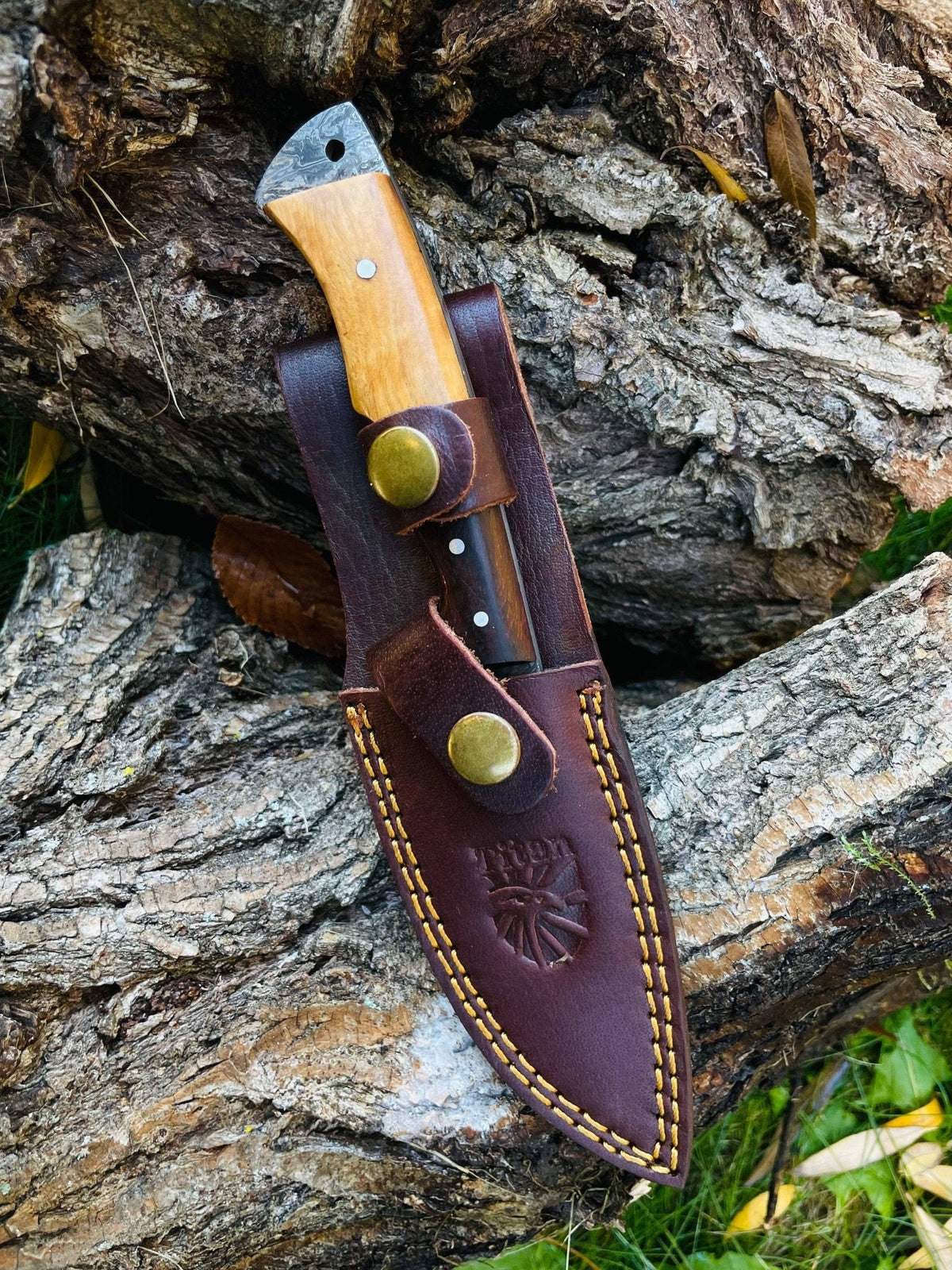 Damascus Steel Guthook Skinning Knife - The Mustard Seed Collection, The Seed