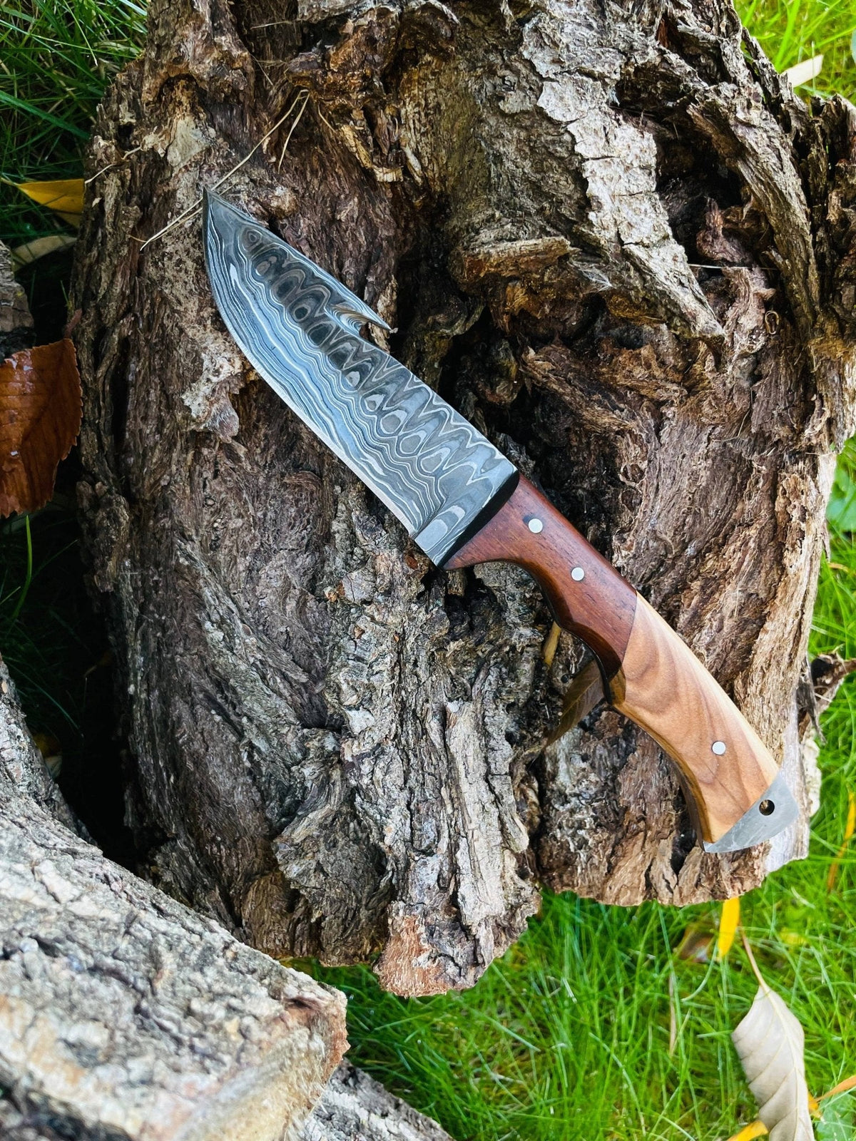 Damascus Steel Guthook Skinning Knife - The Mustard Seed Collection, The Seed