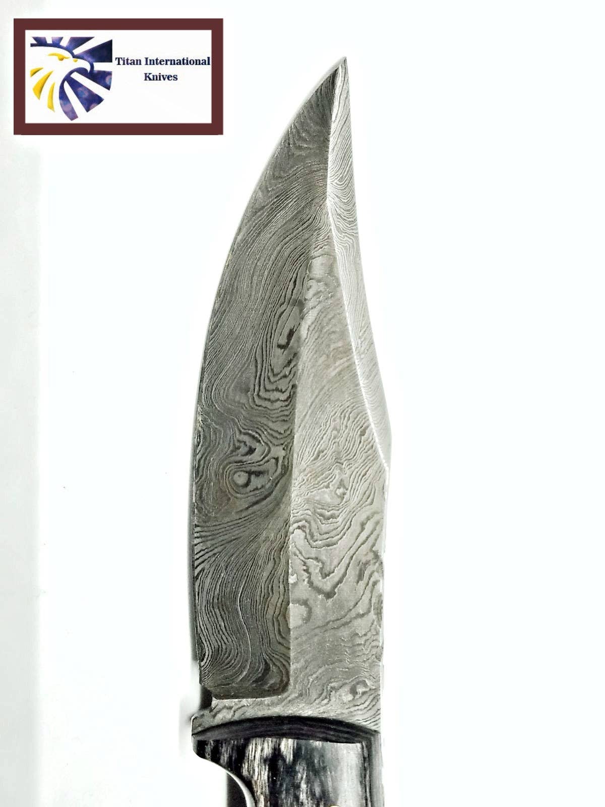 Damascus Steel Hunting Knife By Titan TD-170 - The Mustard Seed Collection, The Seed