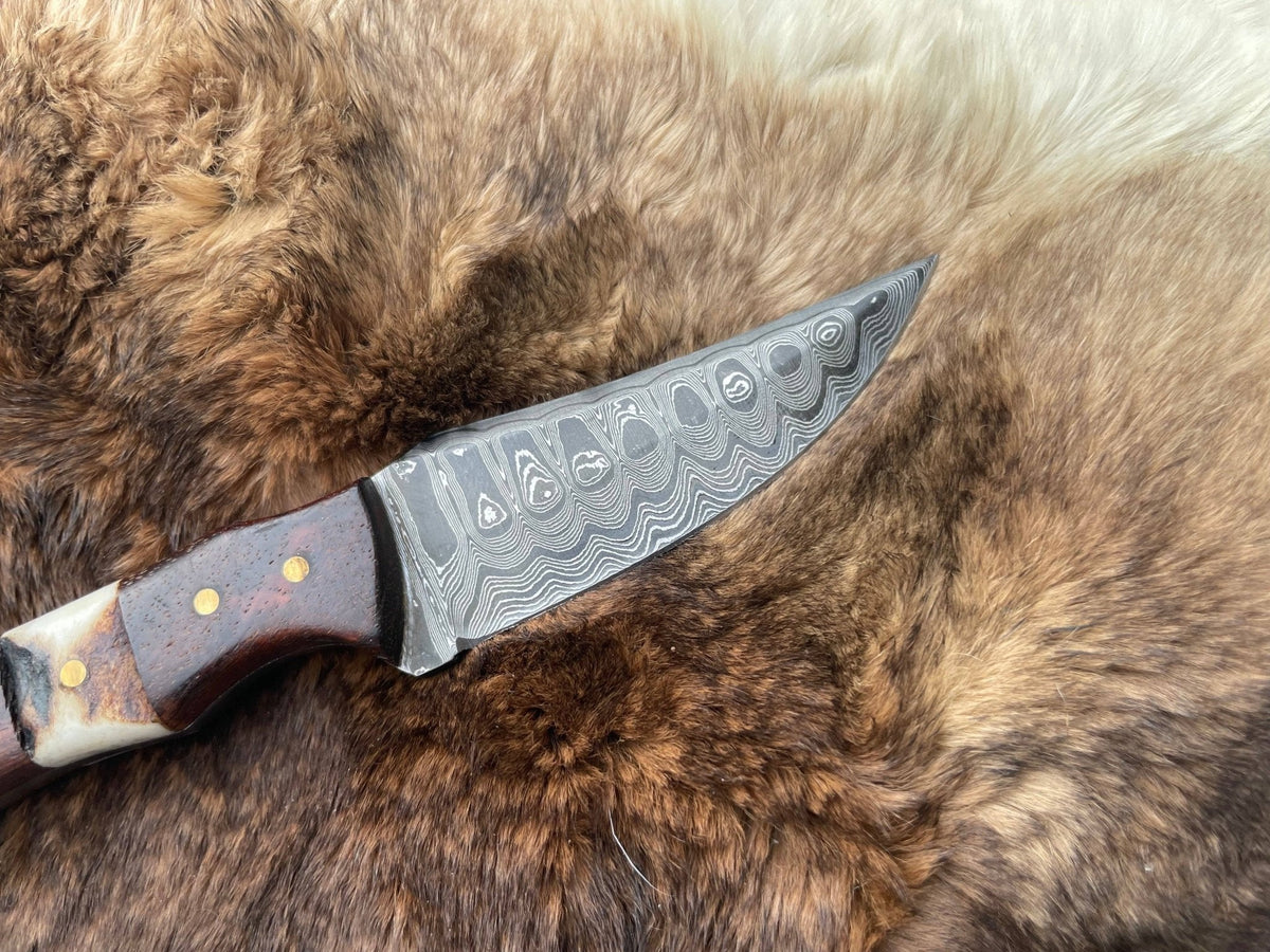 Damascus Steel Skinner Knife with Rosewood & Stag Grip - The Mustard Seed Collection, The Seed
