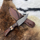 Damascus Steel Skinner Knife with Rosewood & Stag Grip - The Mustard Seed Collection, The Seed