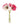 11" Real Touch Poppy-6 stems per bundle: Blush and Beauty Pink Angel Isabella