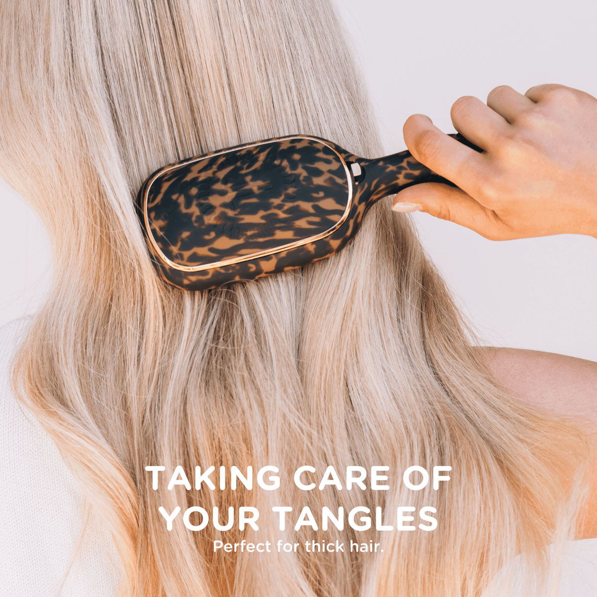 Detangler Hair Brush for Thick Hair - Tortoise 