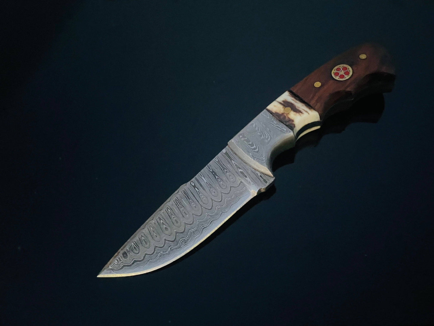 DAMASCUS STEEL FIXED BLADE KNIFE WITH WALNUT & STAG HORN HANDLE