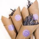 Dried French Lavender Bundle - The Mustard Seed Collection, The Seed
