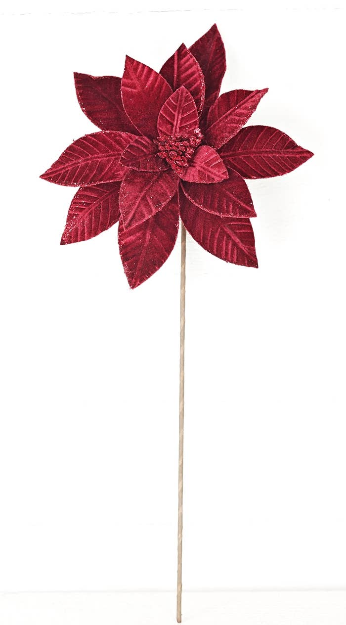 26Lx11D Fine Velvet Poinsettia w Glitter Edges