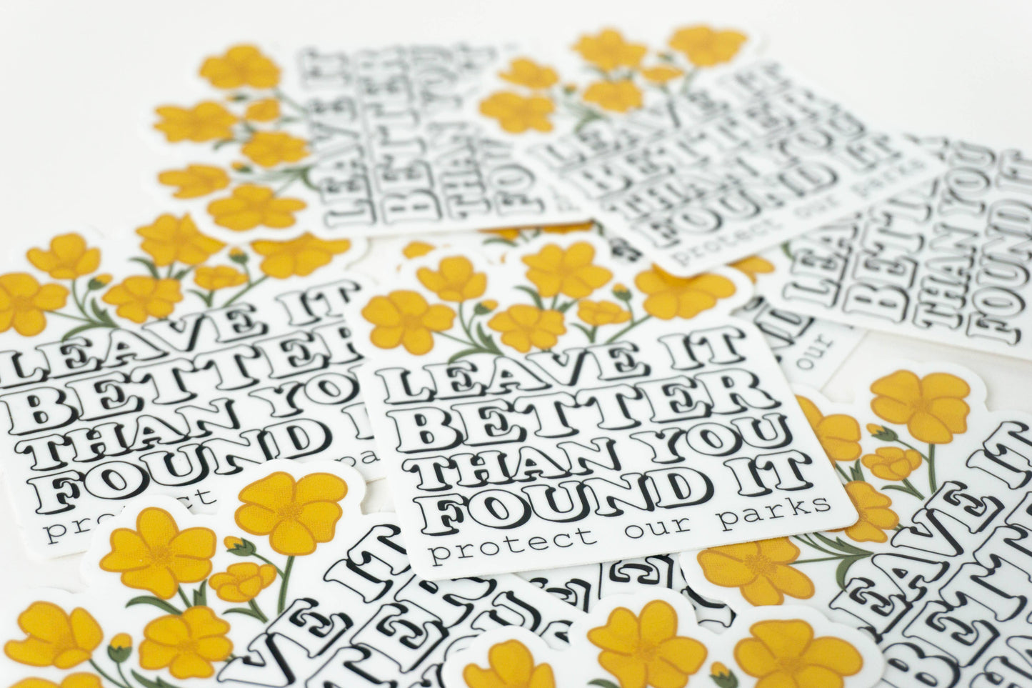 Leave it better than you found it national park sticker