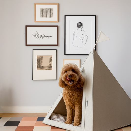 Nooee Pet Teepee Tucker – Size Medium Portable Dog Teepee