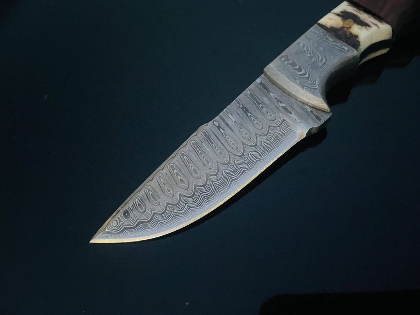 DAMASCUS STEEL FIXED BLADE KNIFE WITH WALNUT & STAG HORN HANDLE