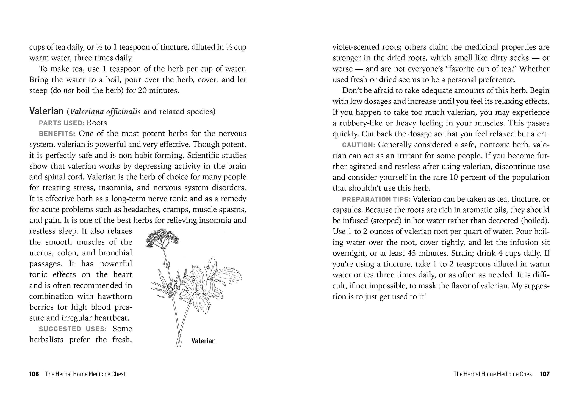 Herbs For Stress & Anxiety: Trade Paperback