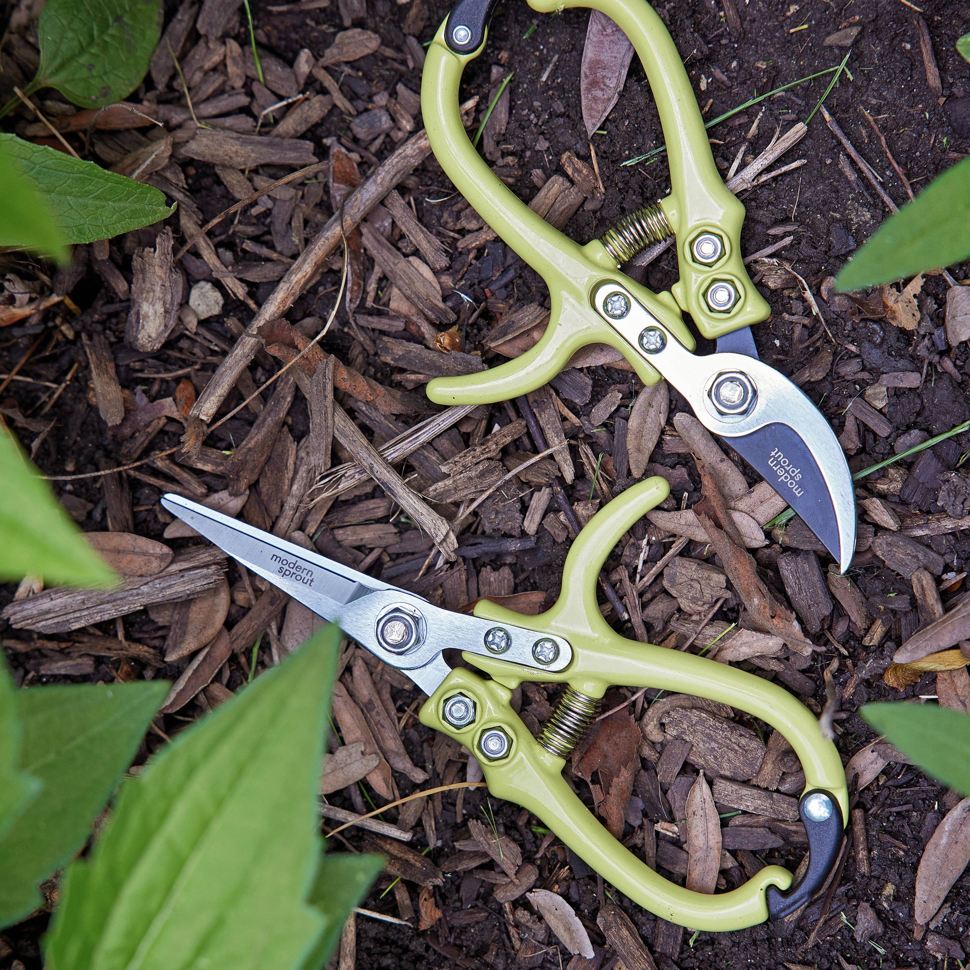 Garden Pruners: Chartreuse