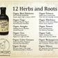 Elderberry & Honey Tonic, 16 oz - The Mustard Seed Collection, The Seed