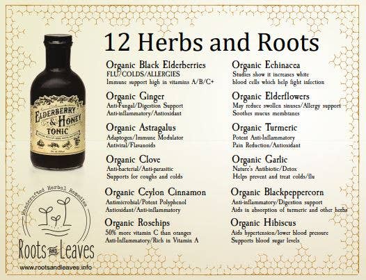 Elderberry & Honey Tonic, 16 oz - The Mustard Seed Collection, The Seed