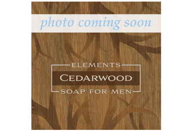 Elements Soap for Men - The Mustard Seed Collection, The Seed